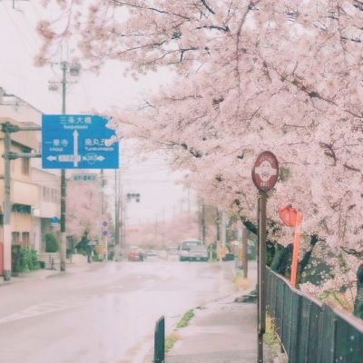 优发体育豪华版